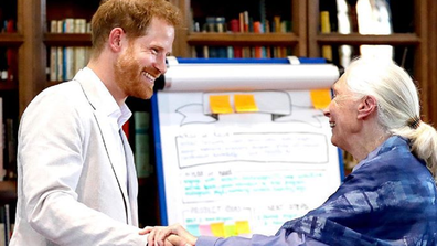 Prince Harry meets with Dr. Jane Goodall.