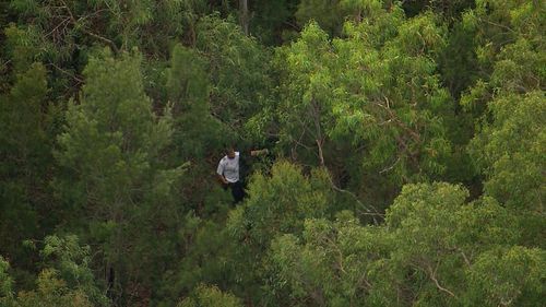 Cerca nella boscaglia il nonno di Sydney, Chris Baghsarian