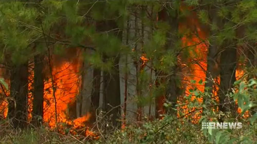 The bushfire has burned through more than 130 hectares of land so far.