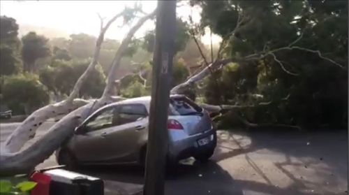 NSW weather strong winds Marrickville