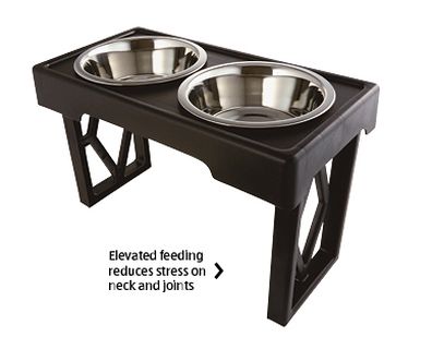 Petzone Designer Diner Adjustable Dog Feeder