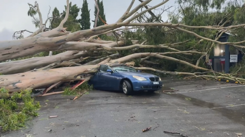 Wild storms flattened trees across southeast Queensland while a heatwave has persisted across the state.
