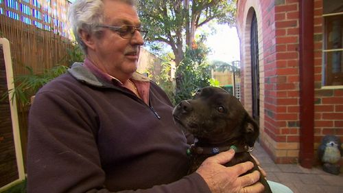Mr Miran said he needs his dog Axel because he suffers from severe anxiety and depression. Picture: 9NEWS