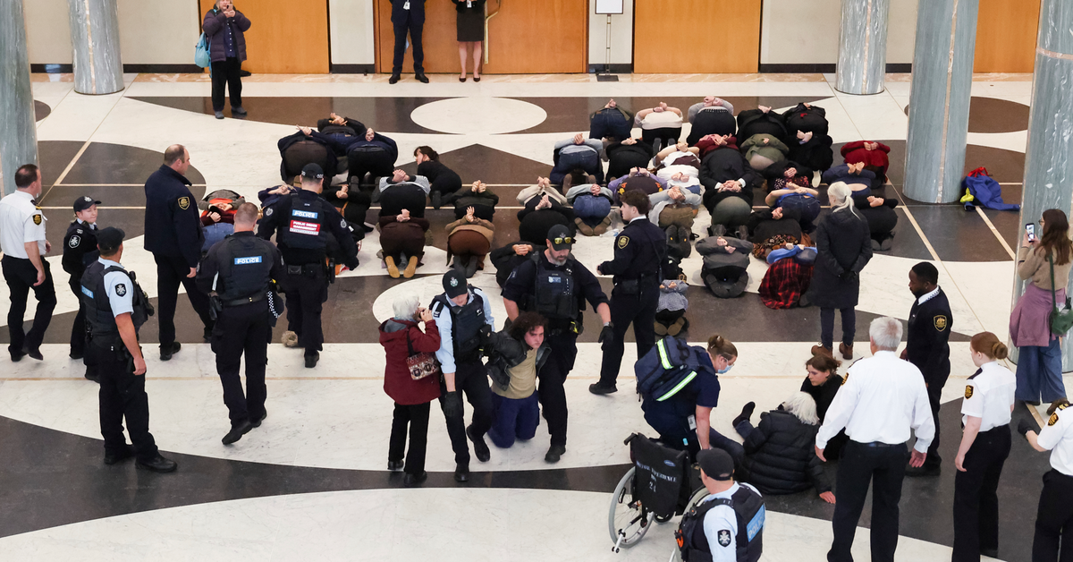 Dozens of protesters shut down part of Parliament House