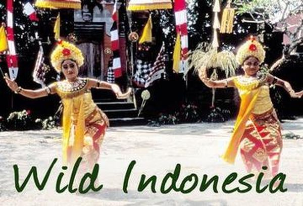 Wild Indonesia