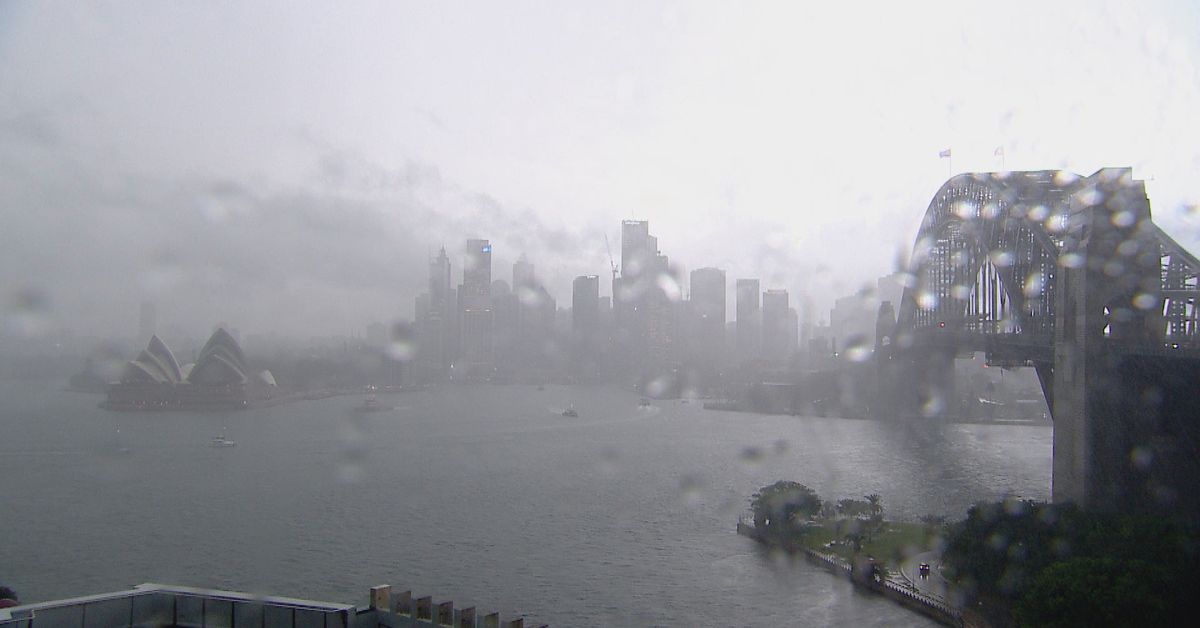 Sydney's wild weather to continue, bringing strong winds and cold blasts