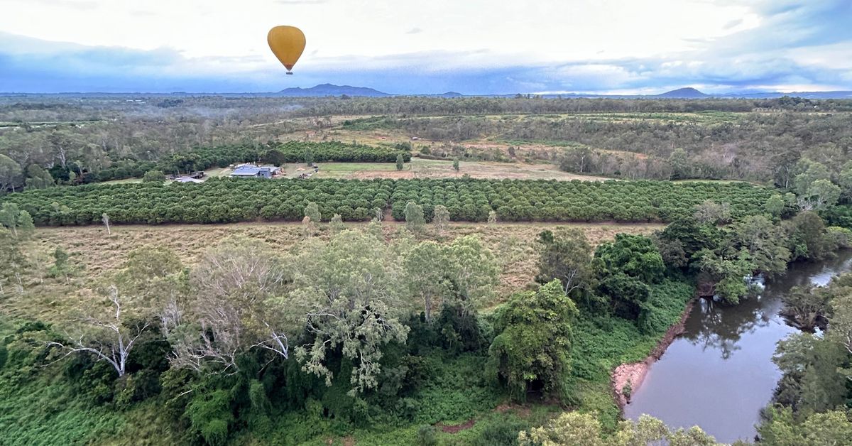 The best things to do in the Atherton Tablelands, Tropical North Queensland's hidden gem