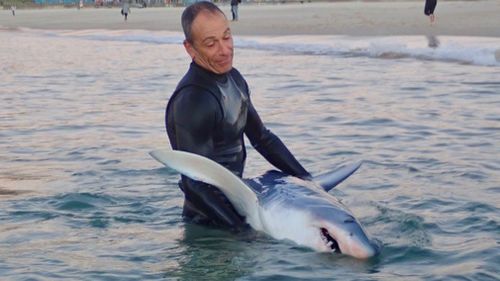 It is believed the shark first washed up last night, when NSW Police were called around 11pm, but then was ashed back into the water and dragged out again today. Picture: Supplied.