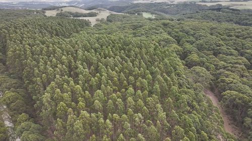 Il corpo è stato ritrovato nello Spring Mount Conservation Park intorno alle 17:30 di ieri.