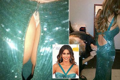 Usually it's her boobs that get all the attention, but <i>Modern Family</i> star Sofia Vergara's buttocks got their moment in the spotlight at the Emmys this year.