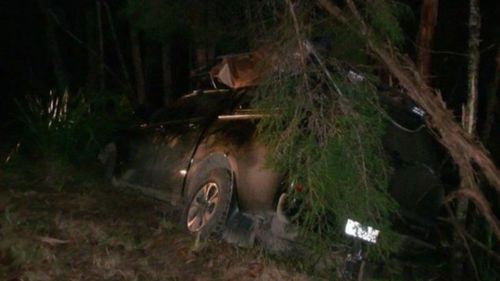 The victim crashed his car into an embankment following the incident. Picture: 9NEWS