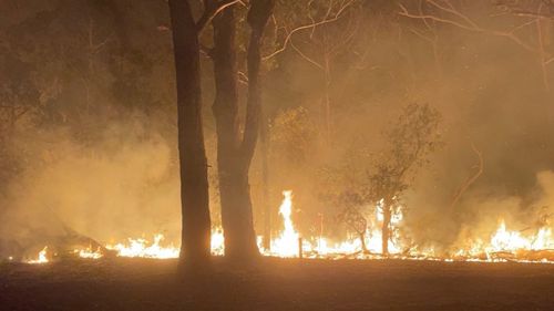 Le squadre dei vigili del fuoco conducono un intervento di backburn per proteggere le proprietà da un incendio boschivo a Nerong. 