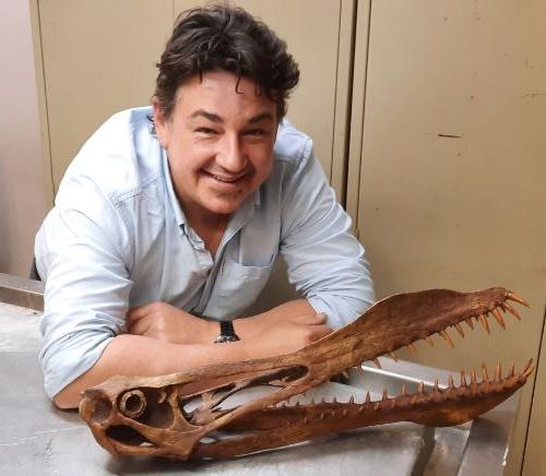 Tim Richards is pictured with the skull of an anhanguerian pterosaur.