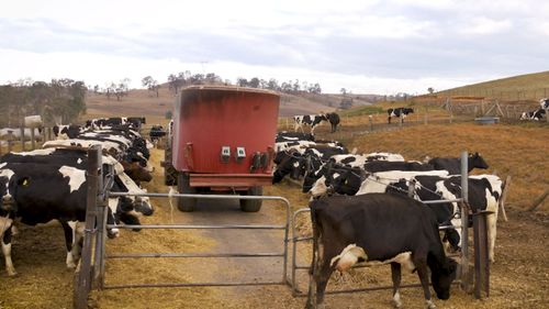 NSW farmer Gavin Moore, said it costs almost 4c more to produce a pint of milk than last year, so a levy is needed.