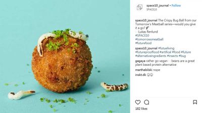 IKEA's new meatball: Made entirely of meal worms