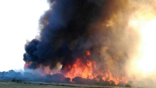 A bushfire in Esperance, WA, broke containment lines. (9NEWS)