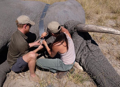 Prince Harry Meghan Markle in Botswana 