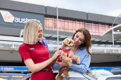 virgin australia pets in cabin