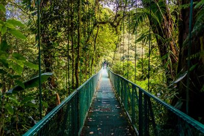 12. Monteverde Cloud Forest Reserve, Costa Rica
