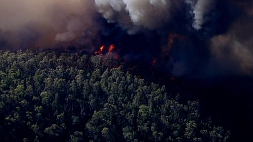 The blaze is burning in the Wollemi National Park and Putty State Forest. (9NEWS)