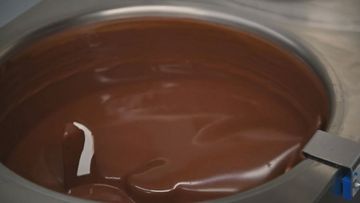 Destructive virus threatens world's supply of chocolate