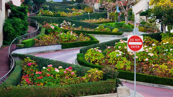 Lombard Street San Francisco 