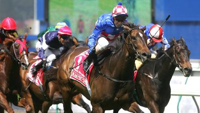 Makybe Diva - 2005 