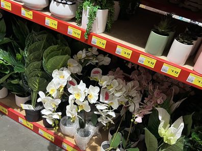 Bunnings shopping tips 9Honey savings