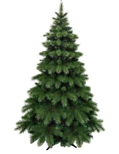 David Jones Christmas tree