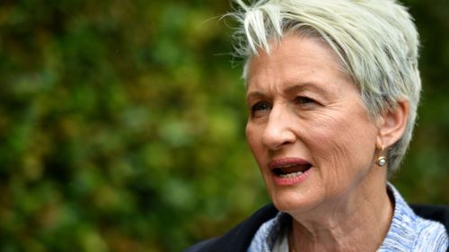 Morrison said independent candidate Kerryn Phelps will destabilise the government. 