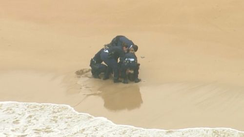 Man arrested on Freshwater beach after allegedly attempting to swim from police