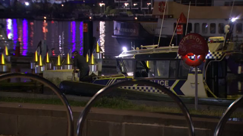 Teenager drowns after falling into Melbourne's Yarra River