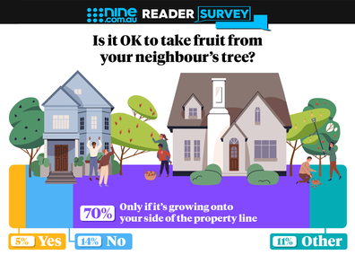Is it OK to take fruit from your neighbour's tree graphic