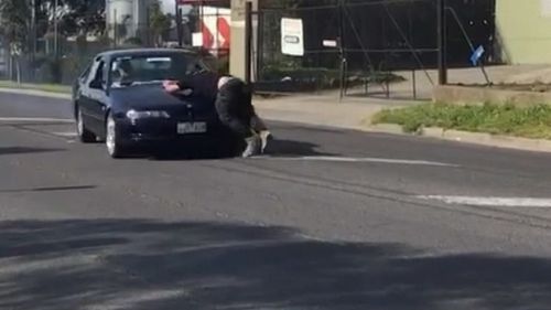 Mr Maffescioni was filmed driving with a man on his bonnet.