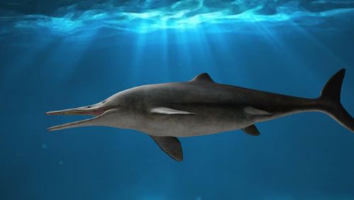 Life reconstructions of Kyhytysuka sachicarum from the Early Cretaceous of Colombia. 