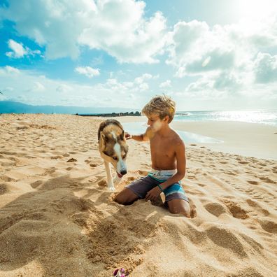 Child with dog on a beach, pet-friendly holiday