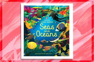 Look Inside Seas and Oceans education book cover Megan Cullis