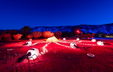 Parrtjima 2021: 'Harvesting Kultcha', an interactive display showcasing the movement of the honey ant nest.