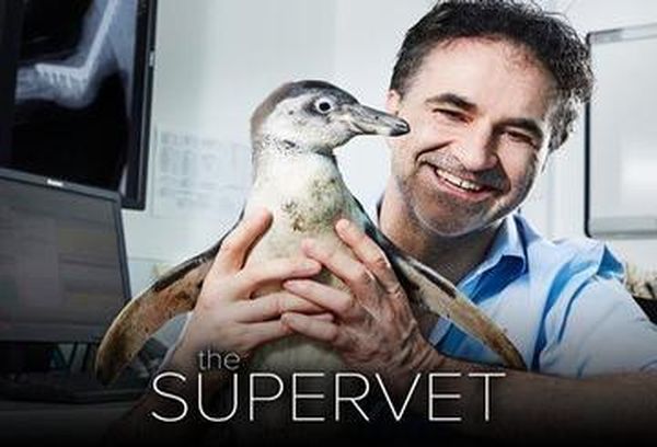 The Supervet