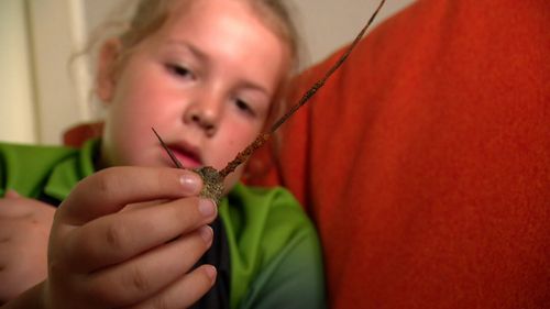 Eight-year-old Abi Cook said it hurt "10 out of 10" when she stepped on a rusty barb.