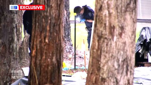 Forensic police photograph possible evidence in the search for William Tyrrell.