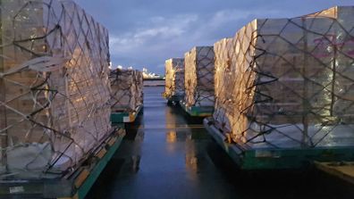 Three-tonne pallet loads of baby formula sit on the tarmac at Sydney Airport ready to be flown to Hong Kong.