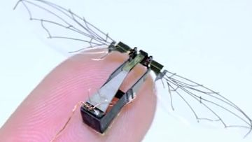 An example of a micro air vehicle drone, not much bigger than the size of a thumb, which is under development in US Air Force tech laboratories. The MAVs could revolutionise the way surveillance is carried out.