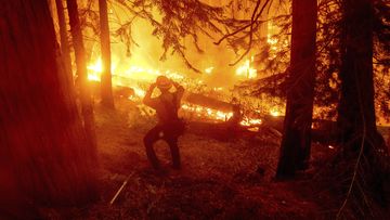 California Wildfires 9news Latest News And Headlines From Australia And The World