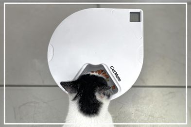 9PR: Cat Mate C500 Automatic Pet Feeder