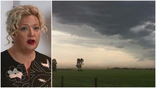 Thunderstorm asthma tragedy 'has no parallel' as Victorian government pledges $1 million to research