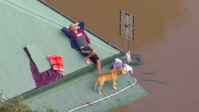 Man waits for rescue with dog