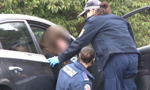 The boy's grandmother got him out of the house during the domestic dispute. Picture: 9News
