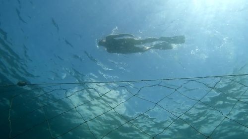 Shark-spotting drones to be deloyed at unpatroleld NSW beaches