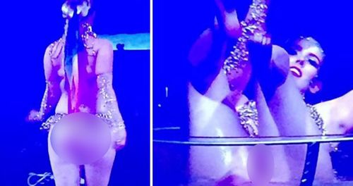 Photos emerge of burlesque performer having sponge bath at WA cricket award night